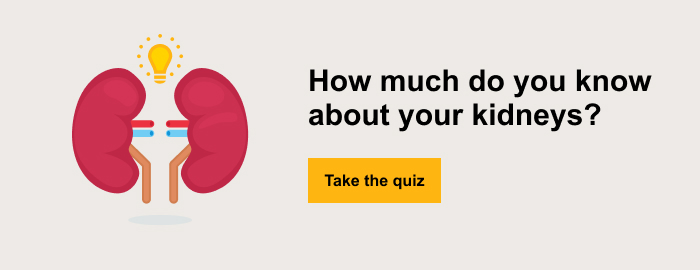How much do you know about your kidneys? Take the quiz