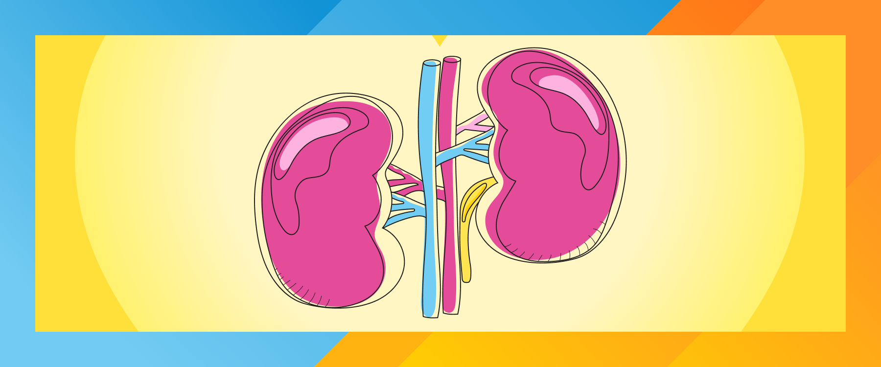 UC Kidney Health banner