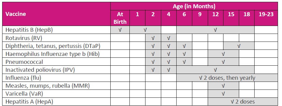 Recommended Childhood Vaccine Schedule